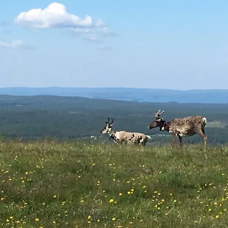 Rukansalmi Ruka