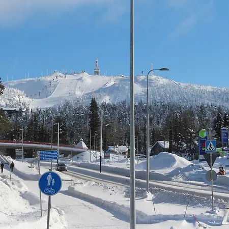 Rukansalmi 度假居