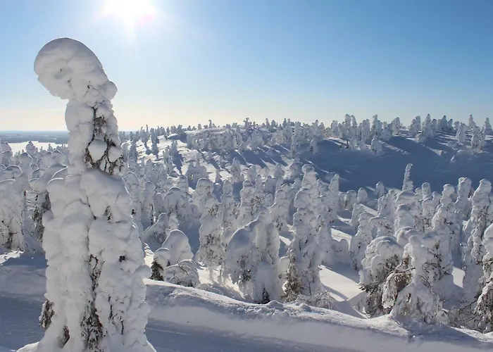 Rukansalmi 펜션 루카