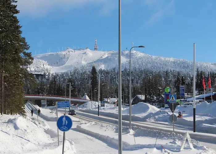 Rukansalmi بيت للعطل